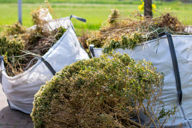 Best Mattress Removal Service  in Los Ranchos De Albuquerque, NM